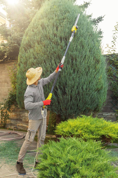 How Our Tree Care Process Works  in Pleasant Run Farm, OH